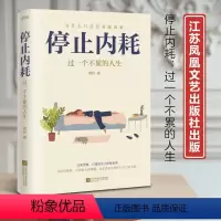 [正版]书停止内耗 过一个不累的人生 重新掌控自己的生活 写给那些疲惫又焦虑的年轻人社会科学心理学书籍