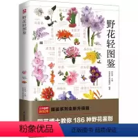 [正版]书野花轻图鉴9787571332945 付彦荣9787571332945江苏凤凰科学技术出版社书籍