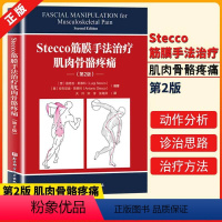 [正版]书Stecco筋膜手法治疗肌肉骨骼疼痛第2二版路易吉斯泰科著筋膜领域意大利学派人物 解剖列车译者关玲教授倾心翻