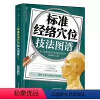 [正版]书标准经络穴位技法图谱 穴位图人体经络穴位图养生书籍人体经络穴位按摩大全取穴用穴 传统技法书籍