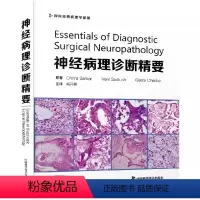 [正版]书神经病理诊断精要 梅开勇主译 中国科学技术出版社 9787504696137书籍