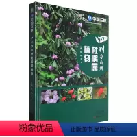 [正版]书四川凉山州杜鹃属植物 张超 王飞 凉山州分布的杜鹃花属植物的形态特征9787572513992
