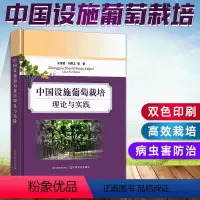 [正版]书中国设施葡萄栽培理论与实践 设施葡萄高产栽培技术大全 优质葡萄栽培种植技术 葡萄树修剪技术病虫害防治书籍