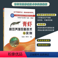 [正版]书青虾养殖致富技术与实例 邹宏海河虾淡水虾人工繁育技术大全青虾疾病防治 青虾养殖一本通大虾青虾养殖书籍