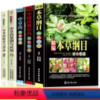 [正版]中医中草药书籍5册 本草纲目 中国药典原色图谱中草药彩图大全书李时珍全集彩图精装图解全套李时珍中医养生书籍神农