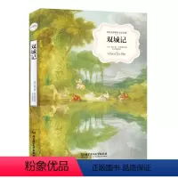 世界文学名著:双城记 [正版]双城记中文版 查尔斯·狄更斯 名家名译全译本原版 完整版外国小说世界名著文学经典故事 初中