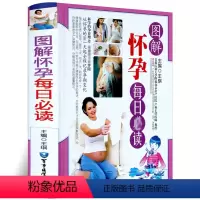 [正版]图解怀孕每日读 彩图版 健康妈妈怀孕秘诀 宝宝的孕育方法 孕产保健知识 十月怀胎百科全书 怀孕书籍 孕妇书怀孕