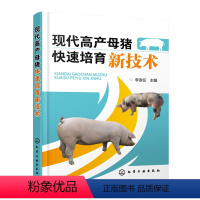 [正版]现代高产母猪快速培育新技术 李连任 主编 母猪 母猪饲养 母猪高产 猪病 仔猪饲养 高产母猪健康孕育饲养管理技