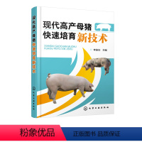 [正版]京联现代高产母猪快速培育新技术 李连任 主编 母猪 母猪饲养 母猪高产 猪病 仔猪饲养 高产母猪健康孕育饲养管