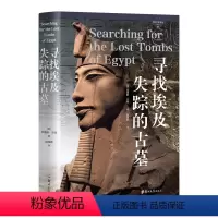 [正版]考古与艺术史丛书05寻找埃及失踪的古墓精装图书克里斯农顿著赵海燕译郑州大学出版社历史文物考古类书籍