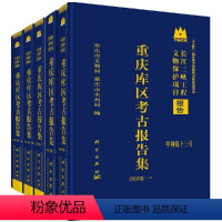 [正版]书京联重庆库区考古报告集2003卷:全5册 重庆市文物局 本书共收录三峡工程重庆库区田野考古发掘简报134篇