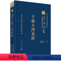 [正版] 丰都大湾墓群 重庆市文物局,重庆市移民局 历史 文物考古 遗址/陵墓书籍 科学出版社