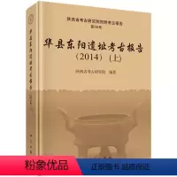 [正版]书籍 华县东阳遗址考古报告(2014)(上、下册) 陕西省考古研究院著 历史 文物考古 考古报告 书籍科学