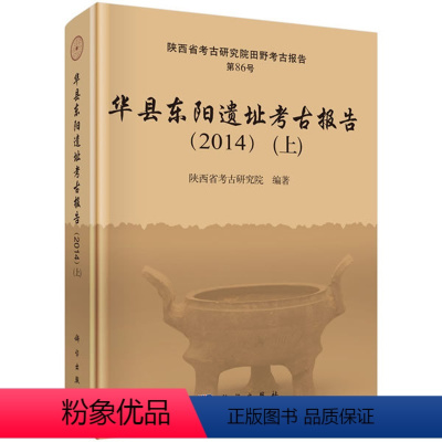 [正版]书籍 华县东阳遗址考古报告(2014)(上、下册) 陕西省考古研究院著 历史 文物考古 考古报告 书籍科学