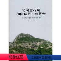 [正版] 北响堂石窟加固保护工程报告 河北省古代建筑保护研究所著,赵仓群 历史 文物考古 考古理论 书籍 科学出版