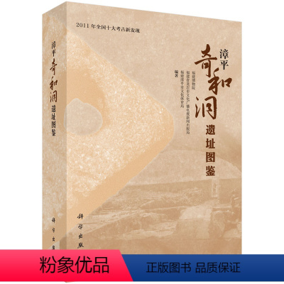 [正版] 漳平奇和洞遗址图鉴 福建博物院,福建省龙岩市文化广播电视新闻出版局,福著 历史 文物考古 遗址/陵墓 书籍