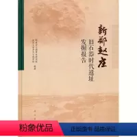 [正版]书籍 新郑赵庄旧石器时代遗址发掘报告郑州市文物考古研究院,北京大学考古文博学院历史 文物考古 考古报告9787