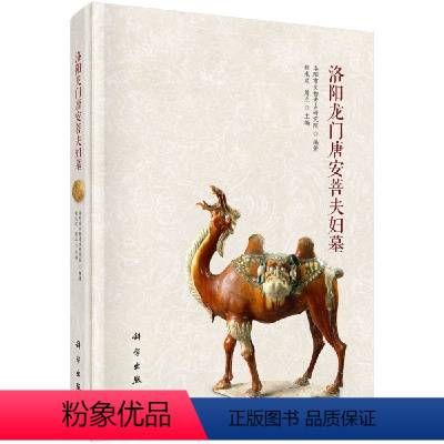 [正版] 洛阳龙门唐安菩夫妇墓 程永建,周立 历史 文物考古 遗址/陵墓书籍 科学出版社