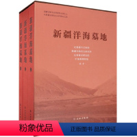 [正版]新疆洋海墓地 套装上中下3册 吐鲁番市文物局等编 新疆文物考古研究所丛刊之九吐鲁番学研究丛书 文物出版社