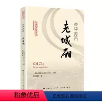 [正版] 亦中亦西老城厢/上海地情普及系列丛书 上海市地方志办公室 张雪敏 学林出版社 地方史志书籍