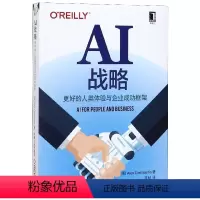 [正版]AI战略(更好的人类体验与企业成功框架) BK