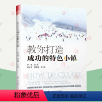 [正版]教你成功打造的特色小镇 建设理论实践发展状况策划开发建设运营管理政策申报流程PPP模式国内外特色小镇案例城乡规