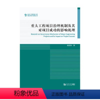 [正版]书籍重大工程项目治理机制及其对项目成功的影响机理