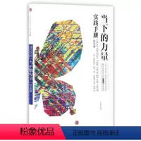 [正版]当下的力量实践手册(白金版)[德] 埃克哈特·托利 励志与成功中
