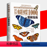 世界蝴蝶1000种 [正版]书世界蝴蝶1000种图解指南阿德里安霍斯金斯蝴蝶图鉴蝴蝶摄影图蝴蝶家族生态图解精美蝴蝶图片生