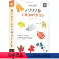 [正版]1000种彩叶植物识别图鉴 彩图典藏版 中国农业出版社 侯元凯 等 著 生命科学/生物学
