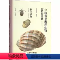 [正版]中国常见海洋生物原色图典 软体动物 魏建功,曲学存 编 生命科学/生物学