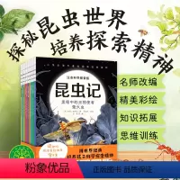 昆虫记·注音科学探索版:全10册 [正版]昆虫记 科学探索版全10册注音版 儿童昆虫记科普图画故事书自然观察生命教育 读