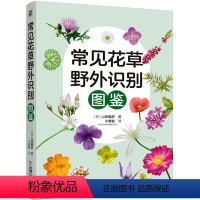 [正版]常见花草野外识别图鉴 (日)山田隆彦 著 于蓉蓉 译 生命科学/生物学专业科技 书店图书籍