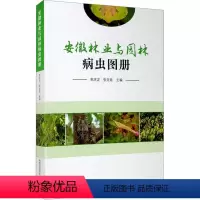 [正版]安徽林业与园林病虫图册 中国科学技术大学出版社 束庆龙,张龙娃 编 生命科学/生物学