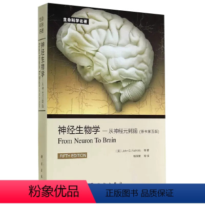 [正版]书神经生物学从神经元到脑 原书第五版尼克尔斯 杨雄里译生命科学生物学心理学和医学参考书教辅书籍神经细胞科学基础