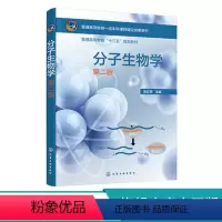 分子生物学 [正版]书籍 分子生物学 袁红雨生命科学相关专业的本科生使用相关专业的教师和研究生使用97871224133