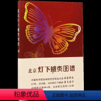 [正版]书北京灯下蛾类图谱 中国农业出版社 丁建云张建华 主编 文教科普读物生命科学生物学书籍