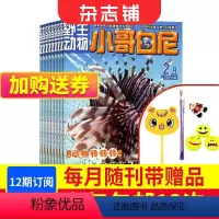[正版]小哥白尼杂志动物画报 2024年8月起订杂志铺 1年共12期 动物故事漫画中小学生课外阅读图书 儿童科普期刊