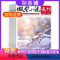 [正版]微型小说选刊杂志 2024年8月起订阅杂志铺 1年共24期 古典小说经典名著小说集杂志书籍图书 文学文摘期刊杂