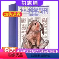 [正版]少儿科学周刊2024年7月起订1年12期杂志订阅少儿科普知识百科科普期刊图书书籍小学生课外兴趣阅读杂志铺全年订