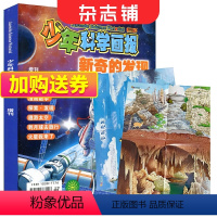 [正版]少年科学画报2023年增刊-新奇的发现(20-22年精选内容) 杂志铺 少儿科普 创造思维动手益智能力培养
