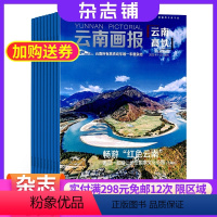 [正版]云南画报人文旅游杂志 2024年6月起订 1年共12期 杂志铺 全年订阅 云南风景旅游人文旅游人文地理 旅游