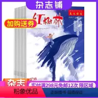 [正版]红树林科普少年杂志 2024年9月起订 1年共12期 杂志铺 学生课外活动游乐园 中小学生阅读学习成长心理等全