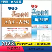 [2本套装]计算+文言文 小学六年级 [正版]2023新版小升初真题特训文言文+古诗词计算+解决问题精选各地名校考题分班