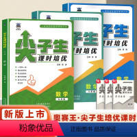 新尖子生课时培优七年级数学 初中通用 [正版]2024新版奥赛王尖子生课时培优初一初二初三数学培优训练初中拔高题库课时培