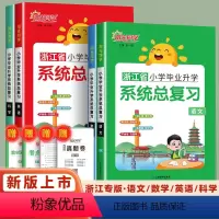 语数英科[4本] 小学升初中 [正版]2024新版阳光同学浙江省小学毕业升学系统总复习语文数学英语科学人教版小升初必刷题