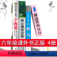 [正版]六年级4册 小海蒂窗边的小豆豆绿山墙的安妮根鸟课外书五六年级小学生课外阅读书籍6年级必读曹文轩书