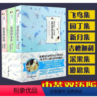 [正版]中英双语泰戈尔诗选书新月集飞鸟集园丁集古檀迦利游思集采果集初中生诗集泰戈尔的书英汉双语珍藏世界名著人民日报出版