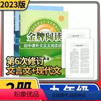 [第6次修订]九年级现代文+文言文阅读训练 [正版]金牌阅读七八九年级初中课外现代文文言文阅读训练中学语文初一初二二初三