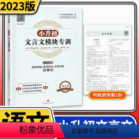 [正版]2023小升初文言文模块专训 小学五六年级文言文阅读与训练走进名校语文阅读理解专项训练书小学生考进名校课内外